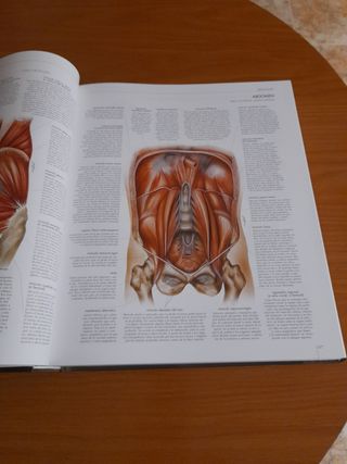 Atlas del Cuerpo Humano. Anatomia, Histologia, ...