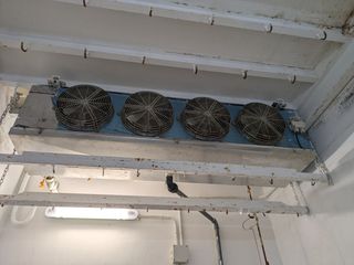 Motor cámara frigorífica Frascold B-1.5-9.1Y