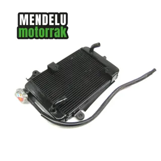 Radiador Honda SH 300 2007-2014 (SH300)