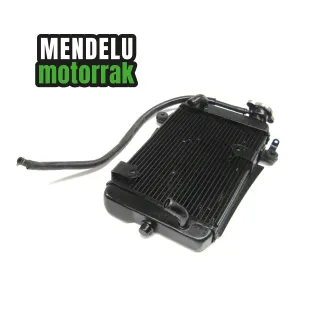 Radiador Honda SH 300 2007-2014 (SH300)