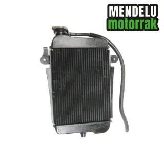 Radiador Honda SH 300 2007-2014 (SH300)