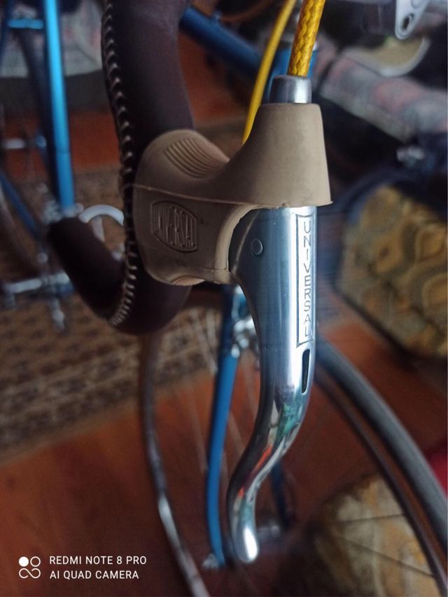 Bicicletta Moser Aldo Vintage