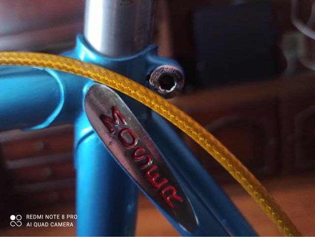 Bicicletta Moser Aldo Vintage