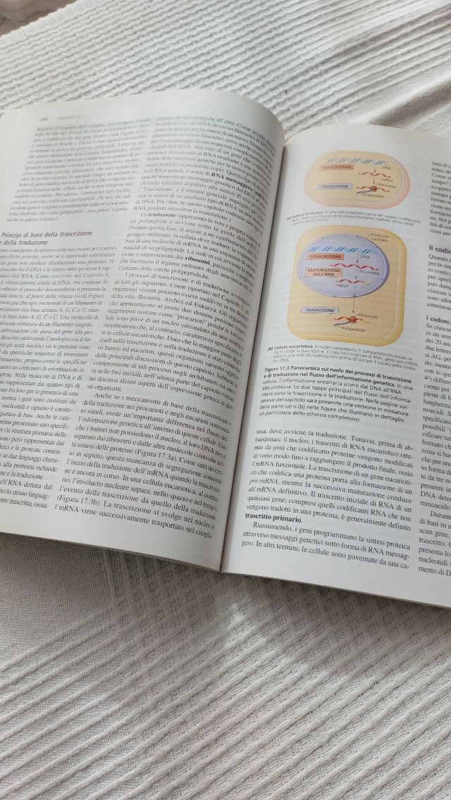 Libri Biologia di Campbell-Reece ed.Pearson