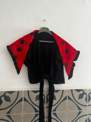 Vestido flamenca
