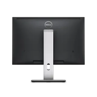 DELL U2415b