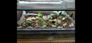 Terrario 90x70x40 con doble ventilación