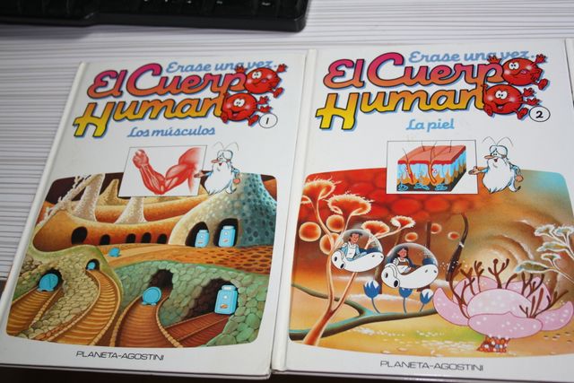 Colección explorando El cuerpo humano