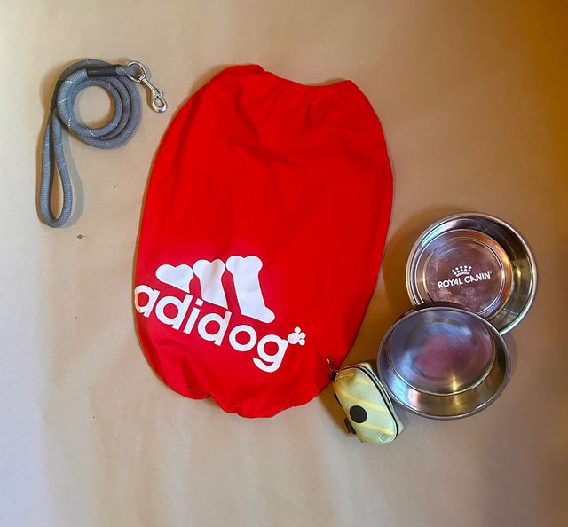 set de productos para perros