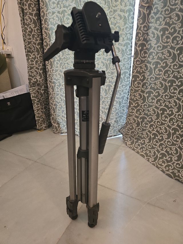 Treppiede Midas - Foto e video