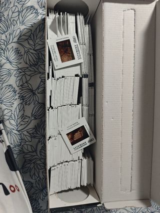 Proyector de diapositivas reflecta con diapositiva