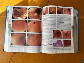 HARRISON PRINCIPIOS DE MEDICINA INTERNA VOLS 1 Y 2