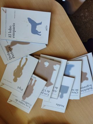 LOS VIAJES DE GULLIVER