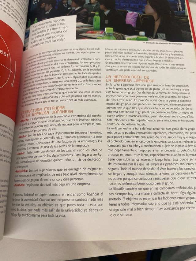 UN GEEK EN JAPÓN (Spanish Edition)