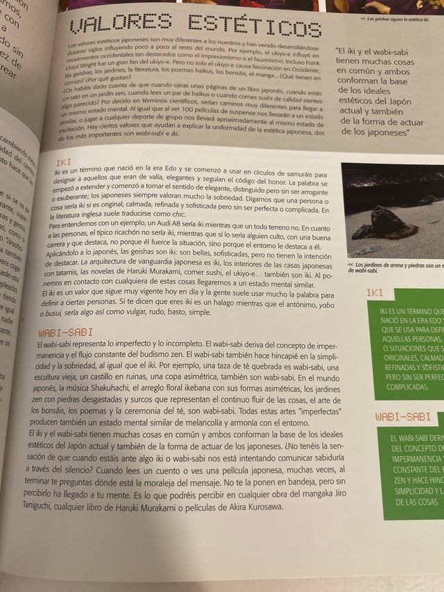 UN GEEK EN JAPÓN (Spanish Edition)