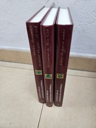 El Cantar de Mío Cid (Spanish Edition)