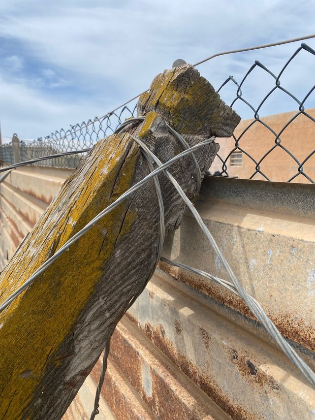 Alfajias de invernadero