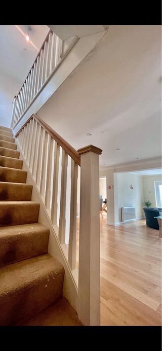 Carpintero Mallorca / Carpenter / Tischler