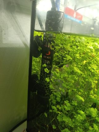 Acuario NanoLED 20L blanco