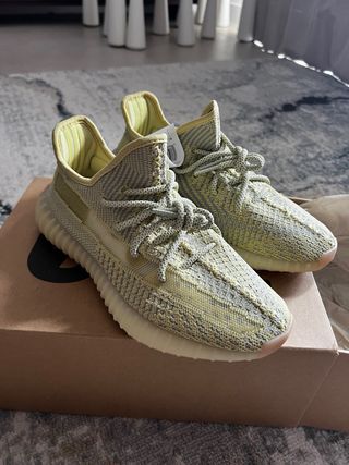 Yeezy 350 v2 Antlia