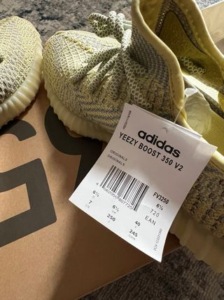 Yeezy 350 v2 Antlia