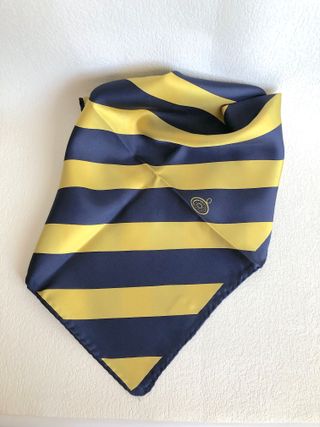 Foulard donna Sommelier AIS
