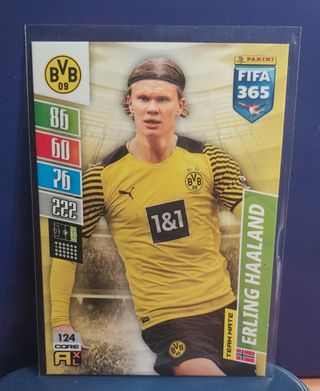 Haaland 2021-22, Borussia Dortmund