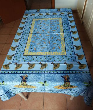 Tovaglia antimacchia 175x150 cm