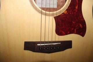 CHOLLAZO: GUITARRA ACÚSTICA IBANEZ