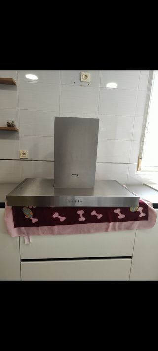 Campana extractora Fagor seminueva