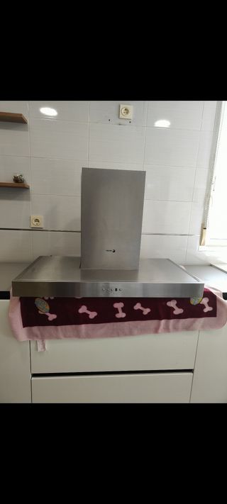 Campana extractora Fagor seminueva