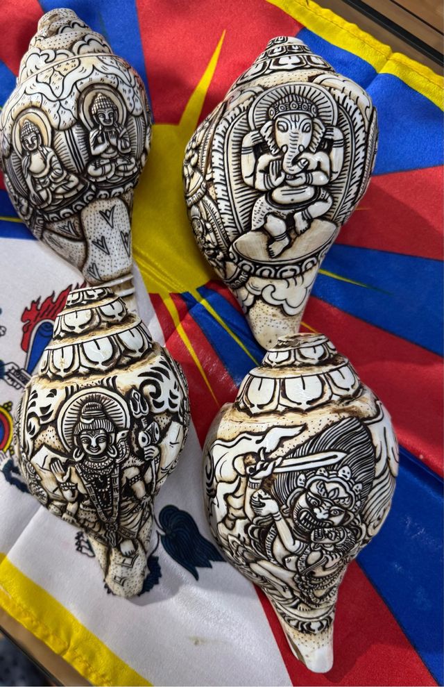 Caracolas talladas: Shiva, Ganesh, Buda