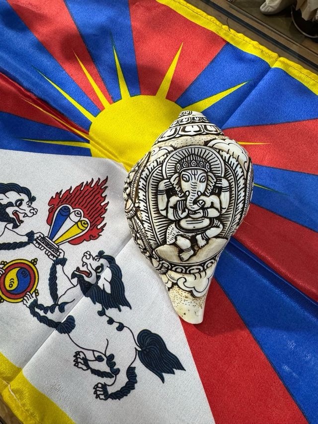 Caracolas talladas: Shiva, Ganesh, Buda