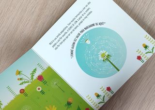 Libro infantil: El nacimiento de una flor