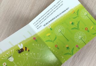 Libro infantil: El nacimiento de una flor