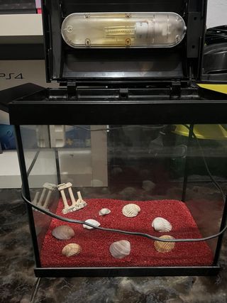 Acuario con luz y decoración