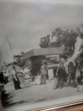 Stampa vintage bianco e nero