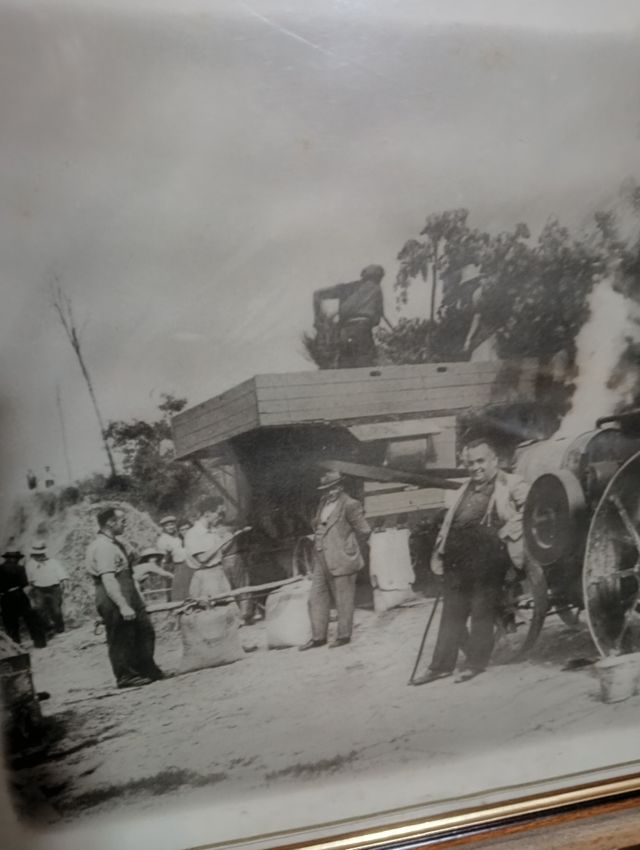 Stampa vintage bianco e nero