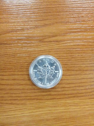 Moneda plata Canadá 1996.