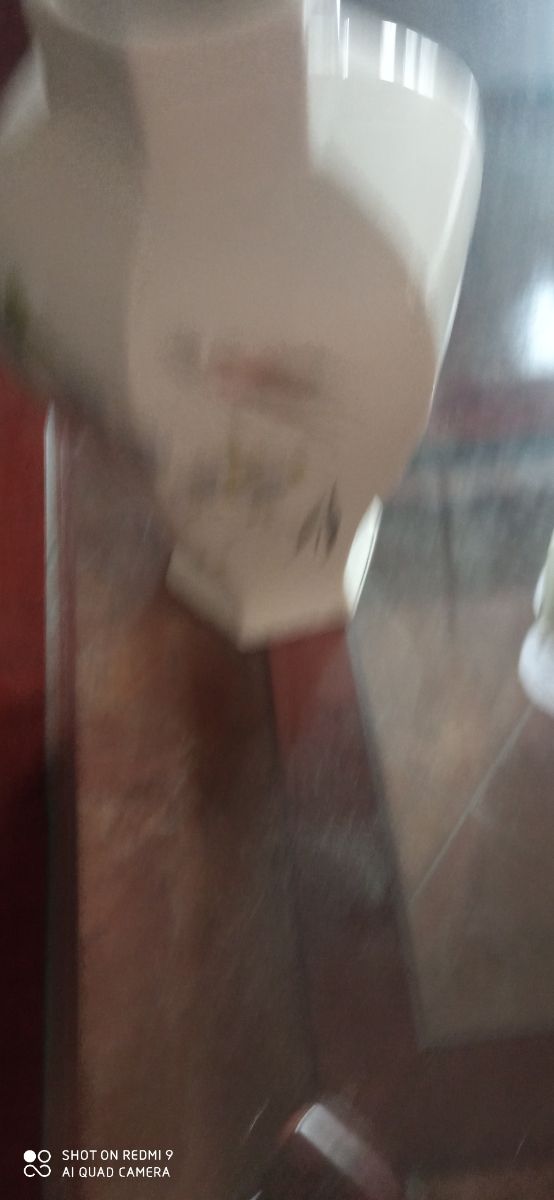 Jarrón porcelana azul y blanco