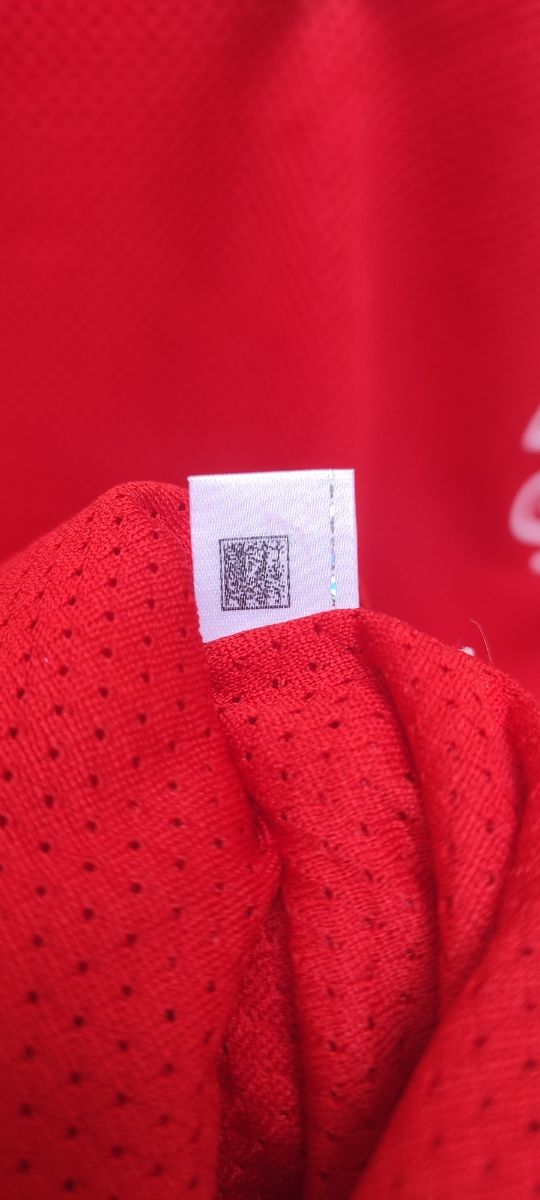 Maglia Svizzera Puma 2016-17