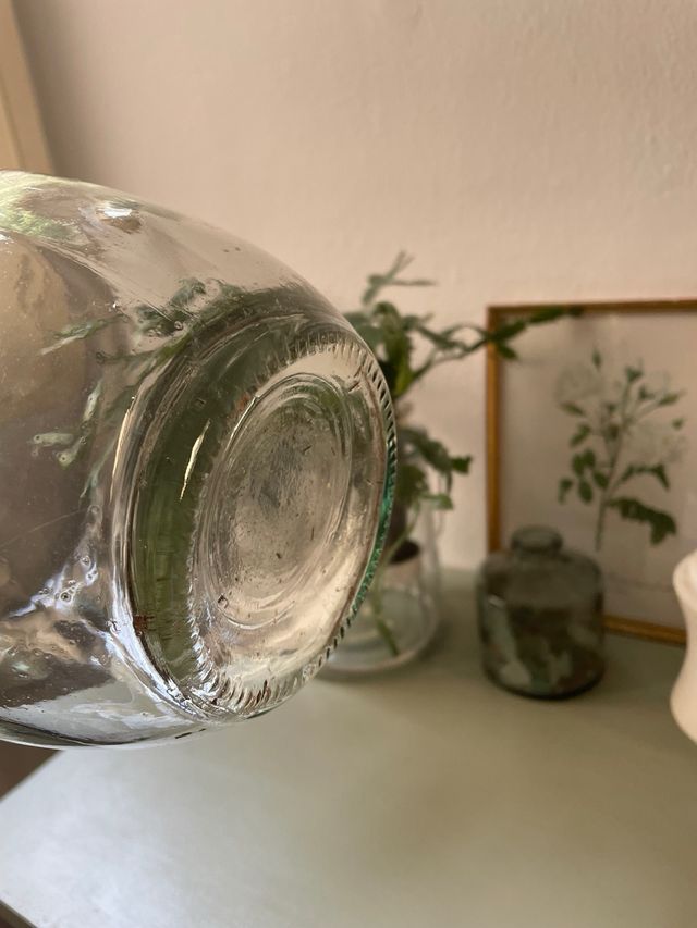 Jarrón de vidrio transparente