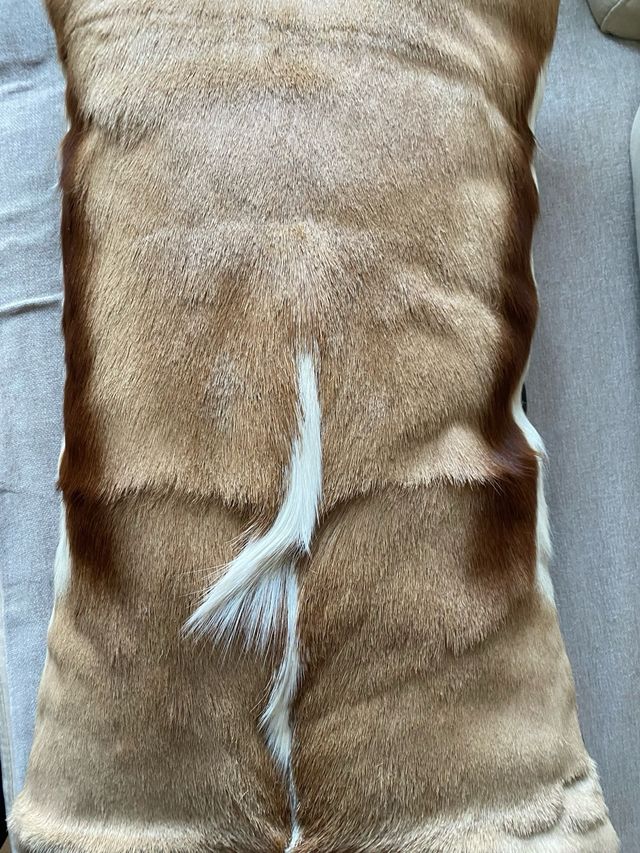 Funda de cojin, piel Springbok - Capetown