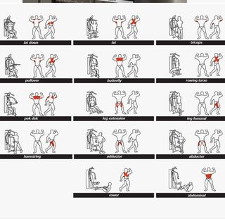 Máquina Fitness musculacion Regalo cinta de andar