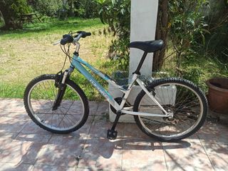 Bicicleta montaña Topbike