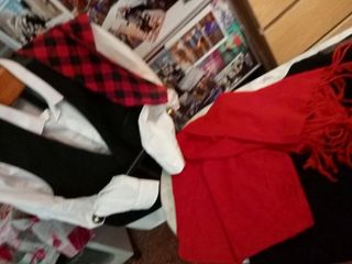 Traje regional baturro incluye (3 piezas)