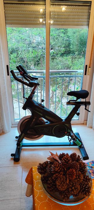Bici Cecotec Ultraflex 25