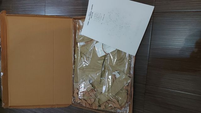 Árbol familiar fotos 