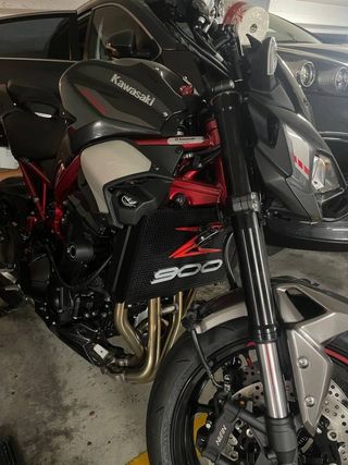 Logo Z900 Rojo y Gris