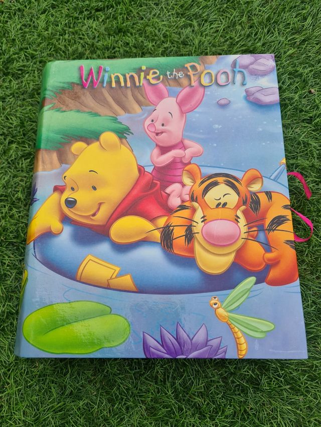 Álbum de fotos Winnie the Pooh